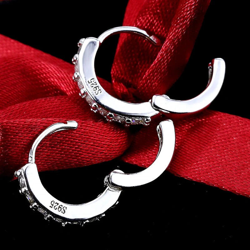 Elegant sterling silver diamond needle earrings for women