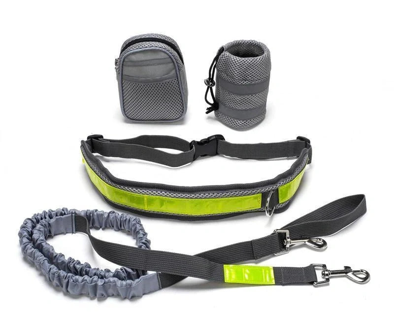 Adjustable hands-free dog leash with waist bag for comfortable walks