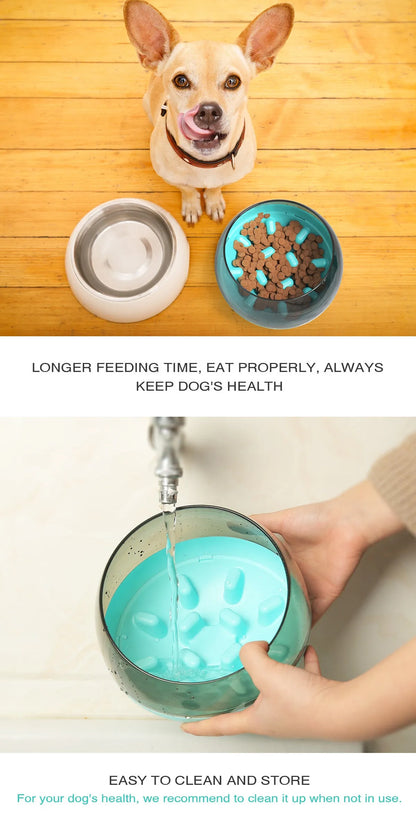 Plastic slow food bowl for pets, 19 x 19 x 14 cm, shown in blue, green, and yellow options