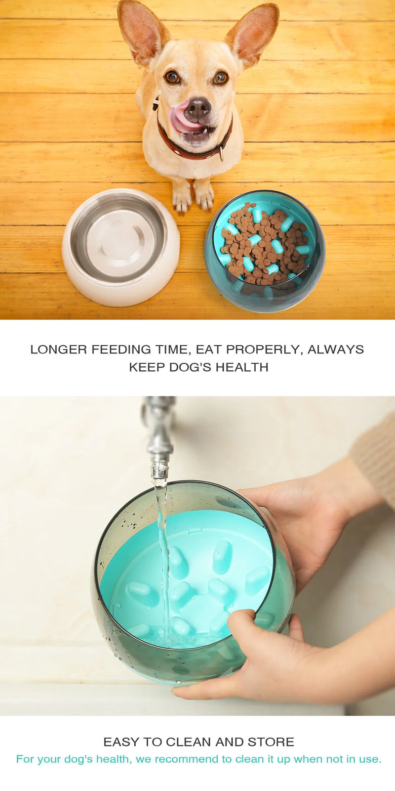 Slow Food Bowl for Pets Plastic Puzzle Feeder 19 x 19 x 14 cm Interactive Dish in Blue Green Yellow