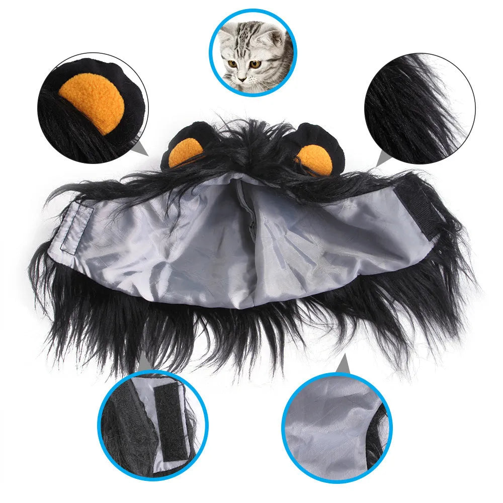 Black cat wearing lion headgear wig with adjustable elastic strap around head