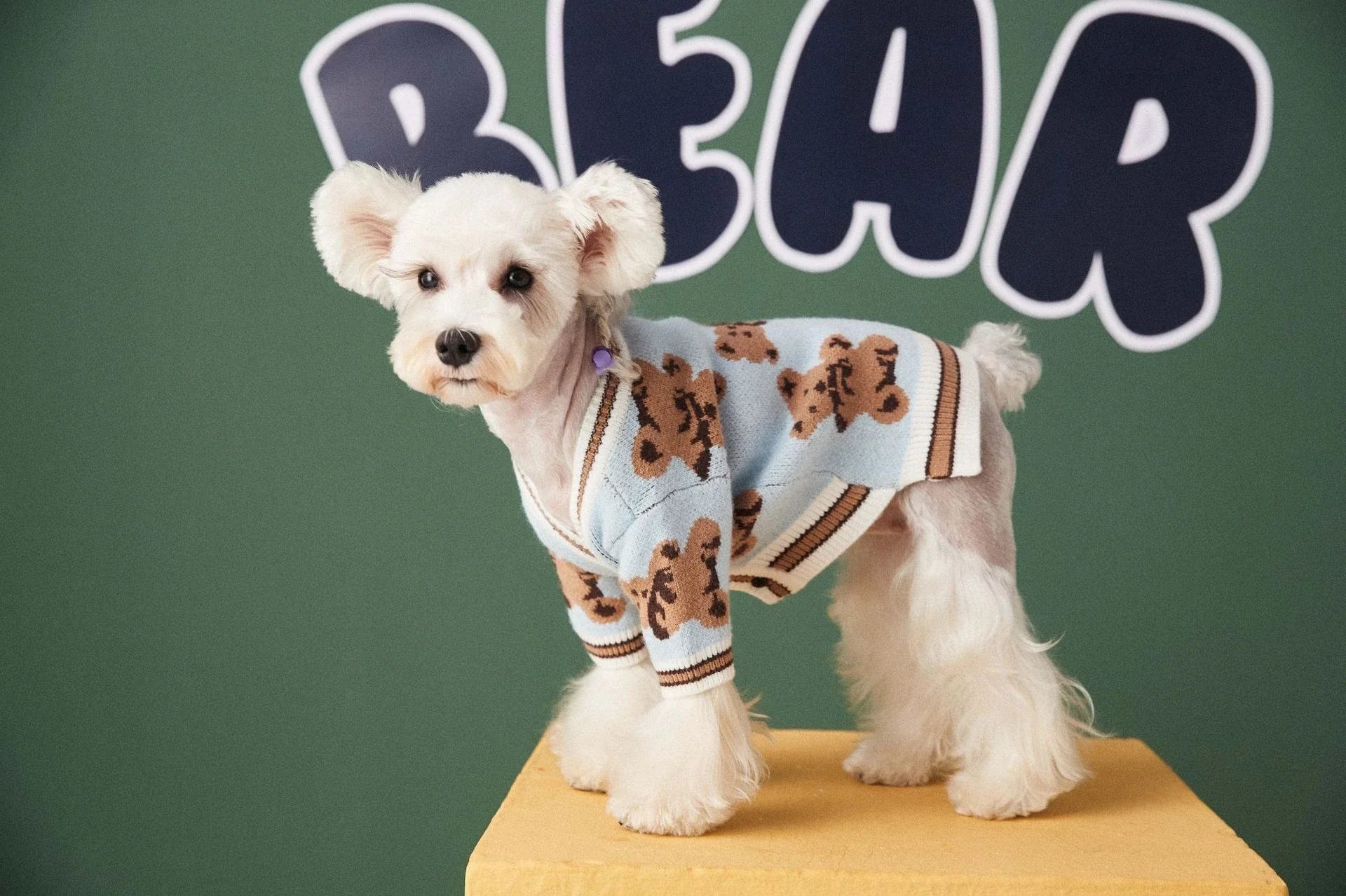 Cosy knitted pet jumper in classic British striped design, available in light blue, beige, and red colours