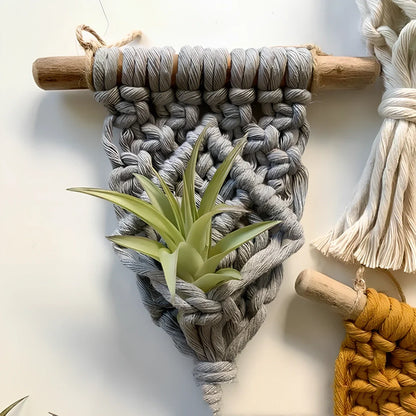 Hand-woven cotton macrame plant hanger with 15cm wooden basket displaying air plant