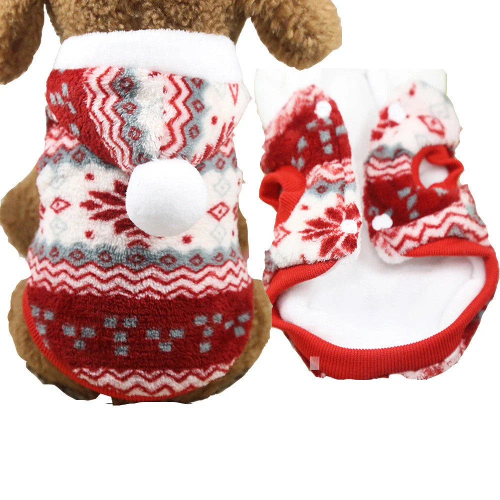 Stylish pet clothing collection featuring a range of cozy and fashionable outfits for dogs and cats