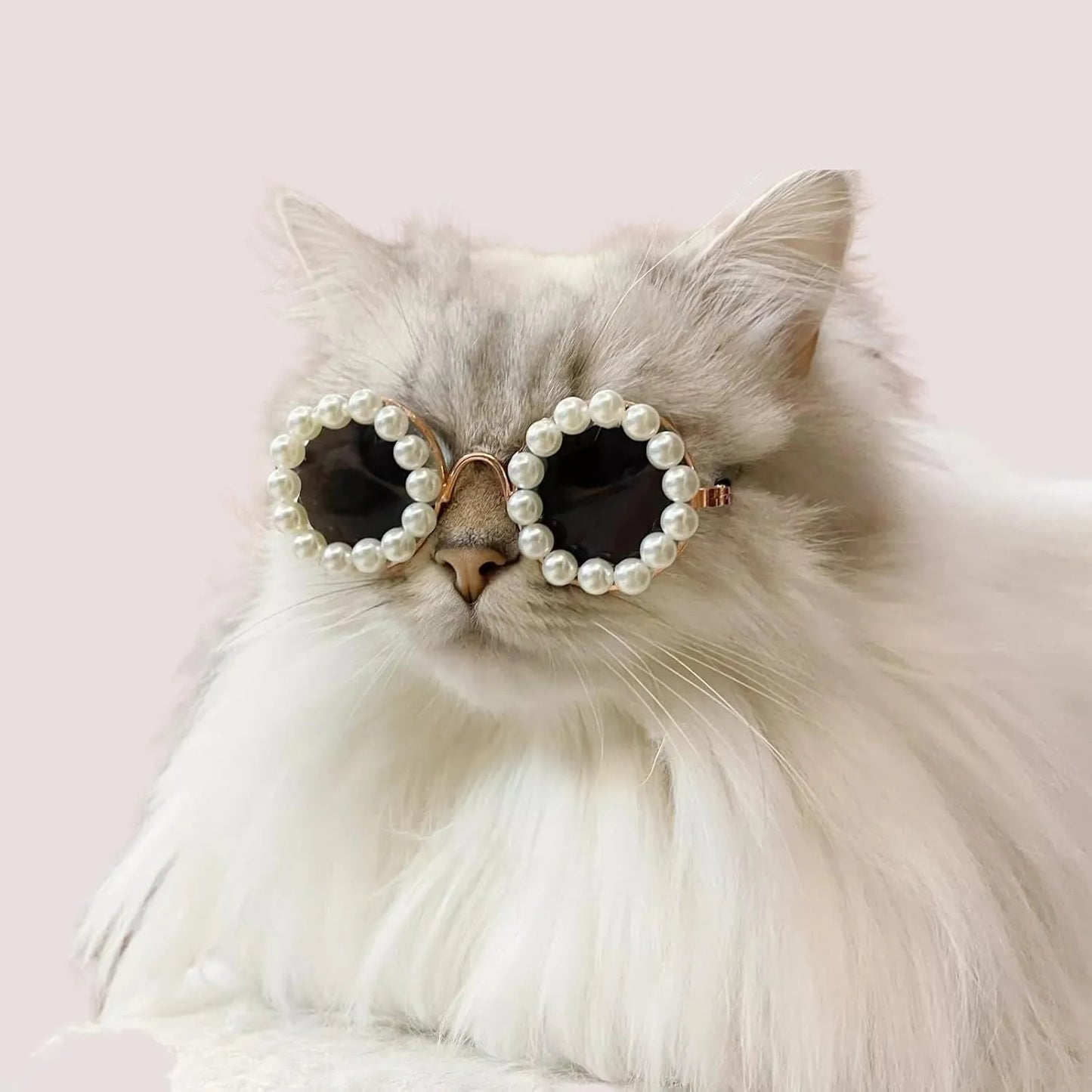 Pearl-trimmed round sunglasses for cats and dogs in five colour options