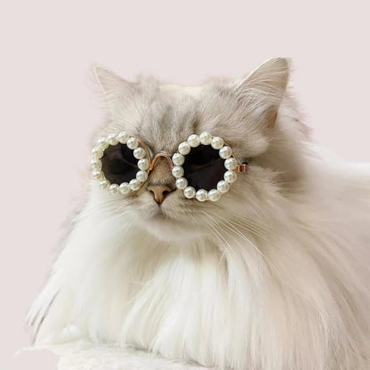 Pearl-trimmed round sunglasses for cats and dogs in five colour options