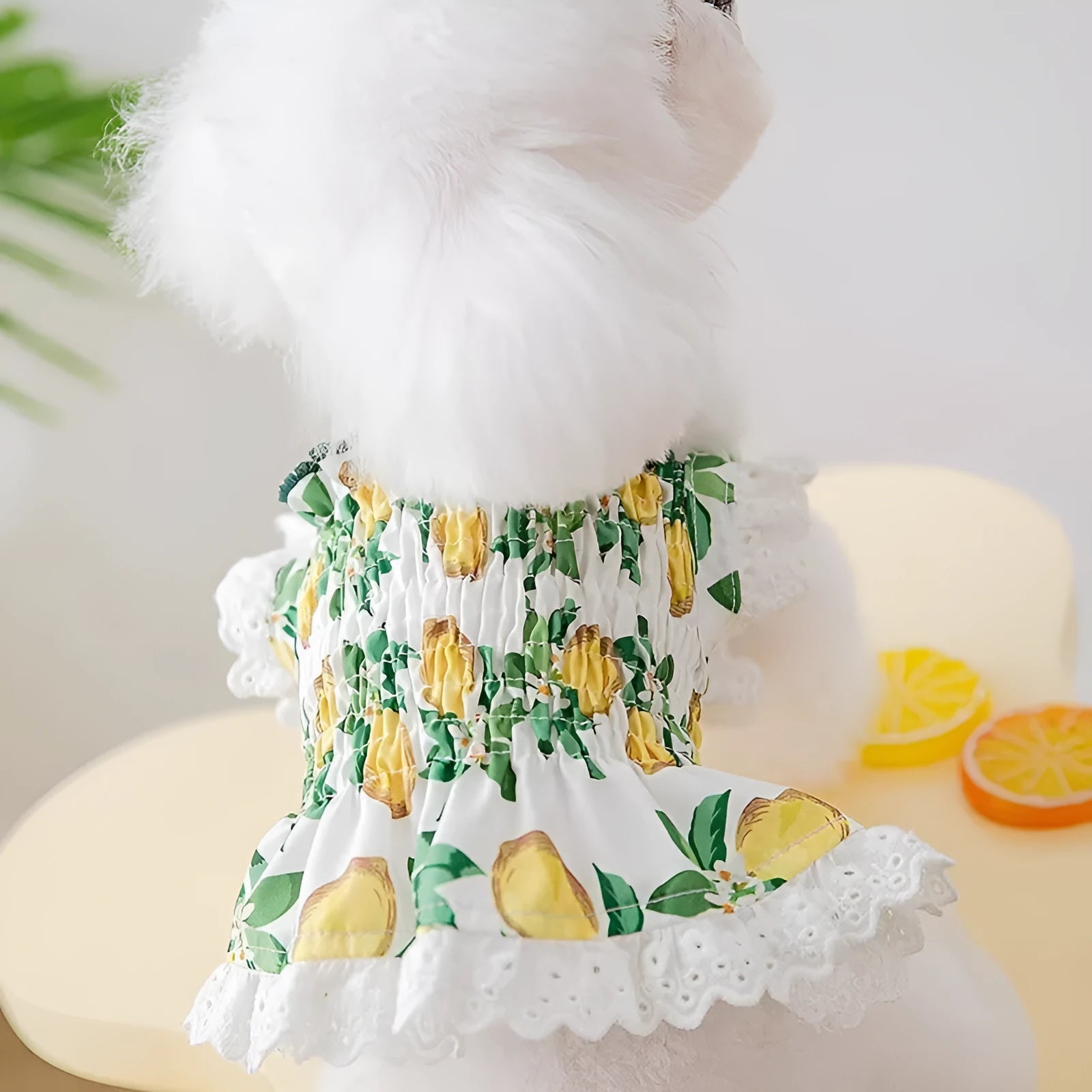 Rock yellow lemon coloured dog dress with thin breathable fabric and strap skirt in princess style