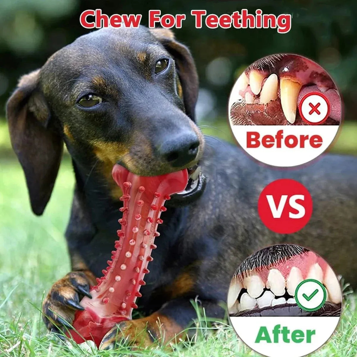 Red natural rubber chew toy for aggressive dogs with durable construction