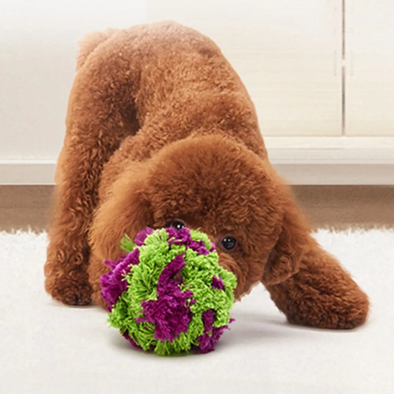 Dog ball toy plush dog knot seaweed ball wear-resistant tear-resistant interactive teeth cleaning teeth grinding chews toy for puppies indoor outdoor fetch training activity