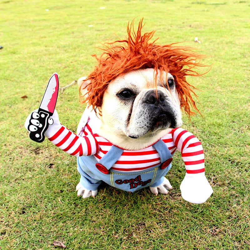 A spooky and adorable Halloween costume for dogs, featuring a menacing mask, ominous accessories, and adjustable design for a comfortable fit.
