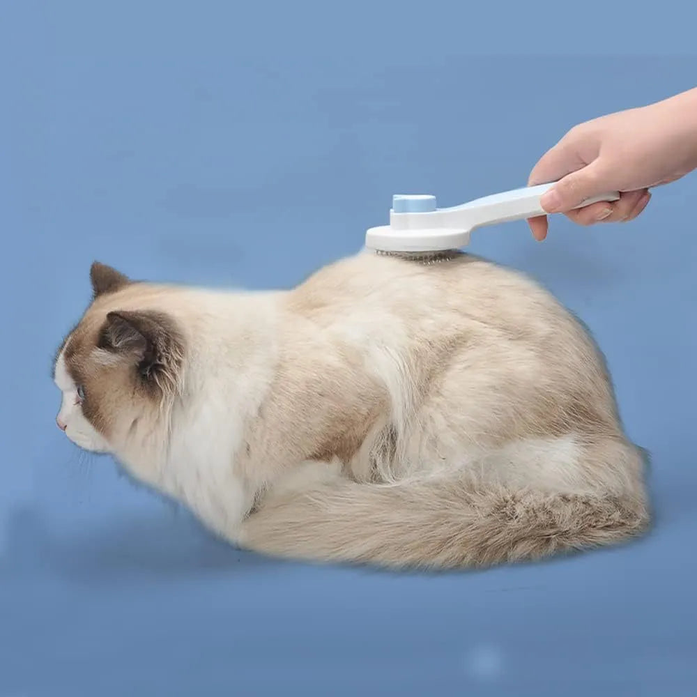 Blue self-cleaning cat brush with rubber-tipped pins and non-slip handle for grooming pets