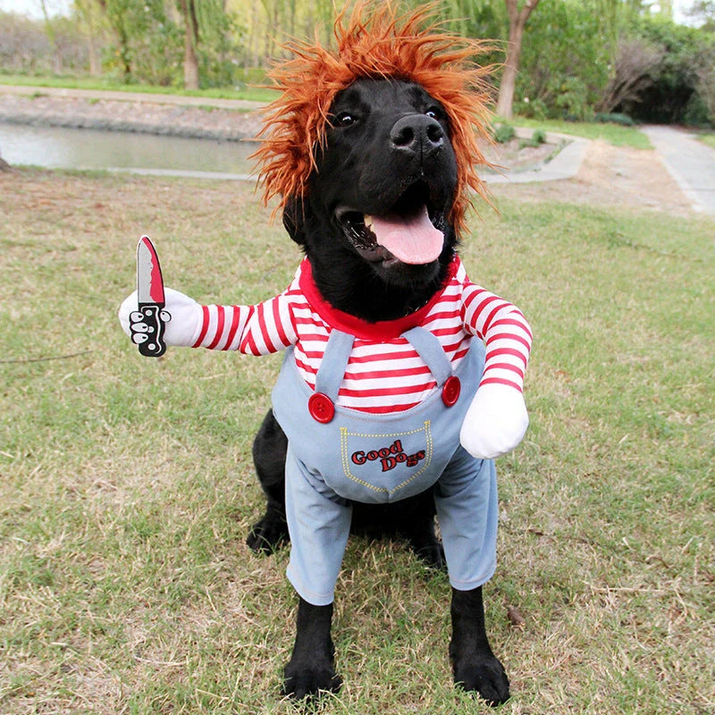 A spooky and adorable Halloween costume for dogs, featuring a menacing mask, ominous accessories, and adjustable design for a comfortable fit.