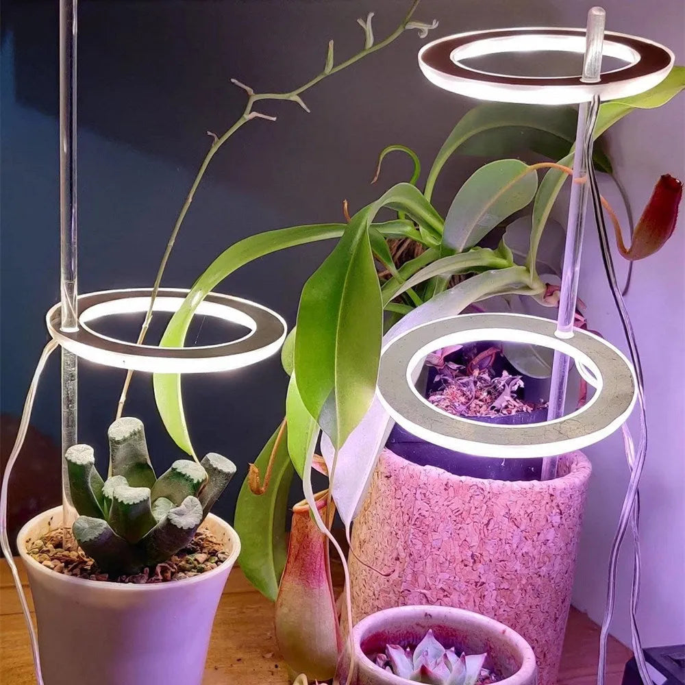 USB LED grow light with angel ring design for indoor plants showing full spectrum lighting