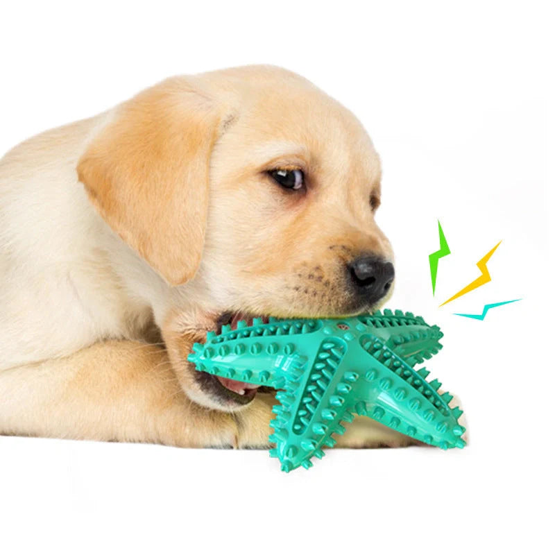 Starfish Vocal Pet Dog Toy Molar Stick in lake blue, yellow, and green