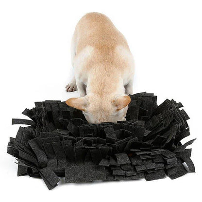 A green, textured sniffing mat designed to stimulate a dog's natural exploration and curiosity