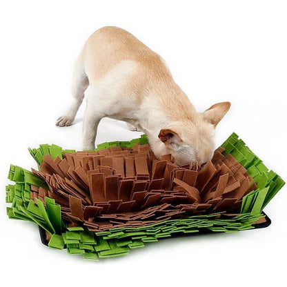 A green, textured sniffing mat designed to stimulate a dog's natural exploration and curiosity
