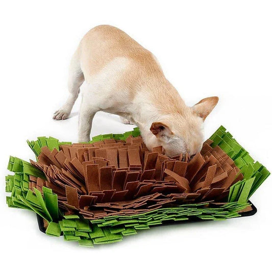 A green, textured sniffing mat designed to stimulate a dog's natural exploration and curiosity