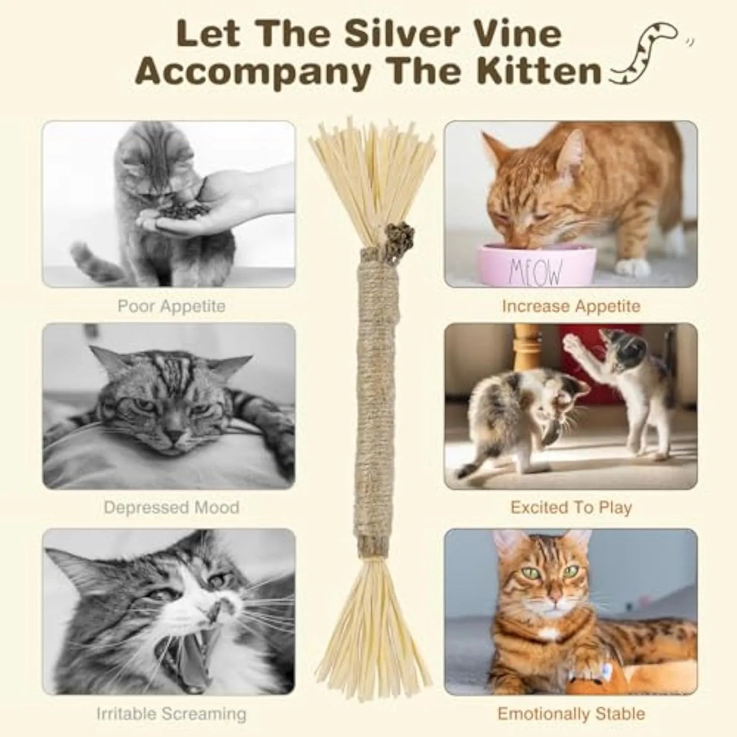 Natural silvervine chew sticks for cats with sisal rope for dental care, showing thick and fine diameter options