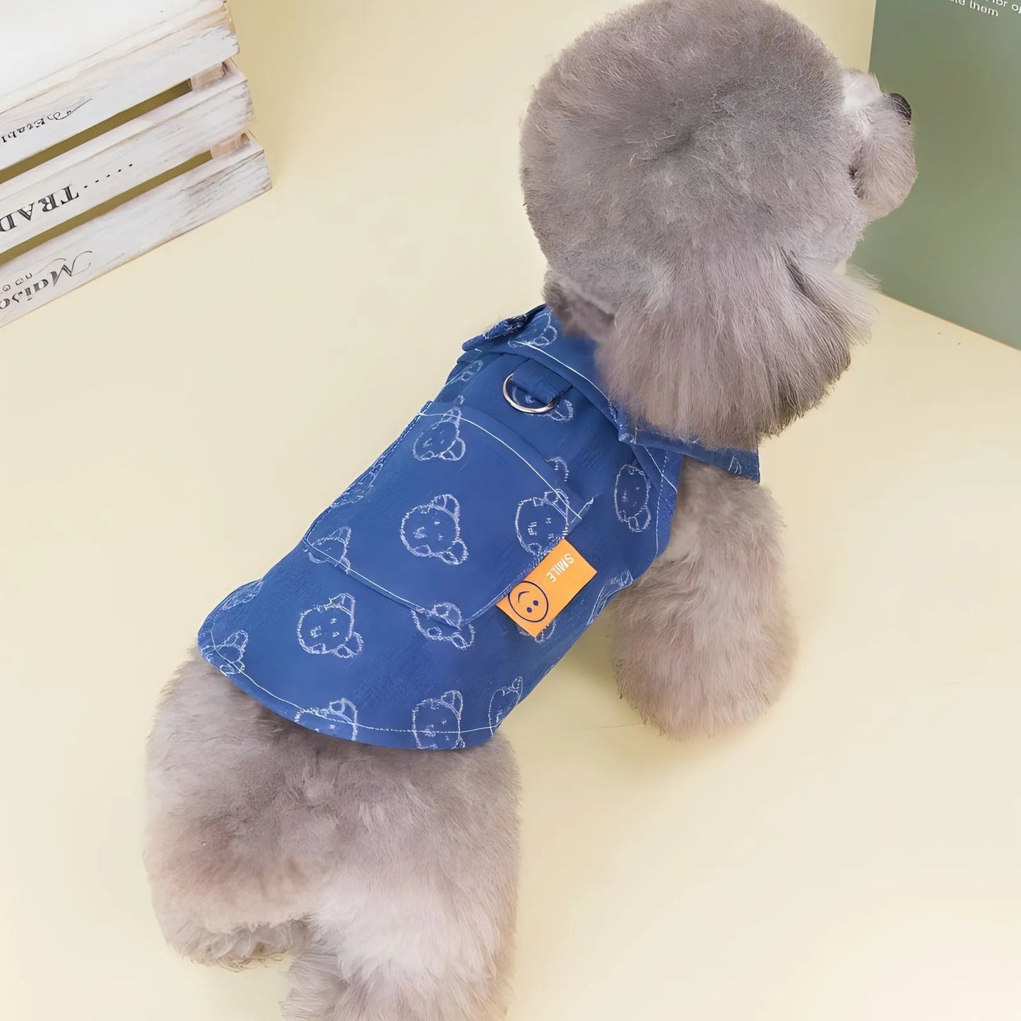 Teddy Bichon wearing denim princess dress in spring setting
