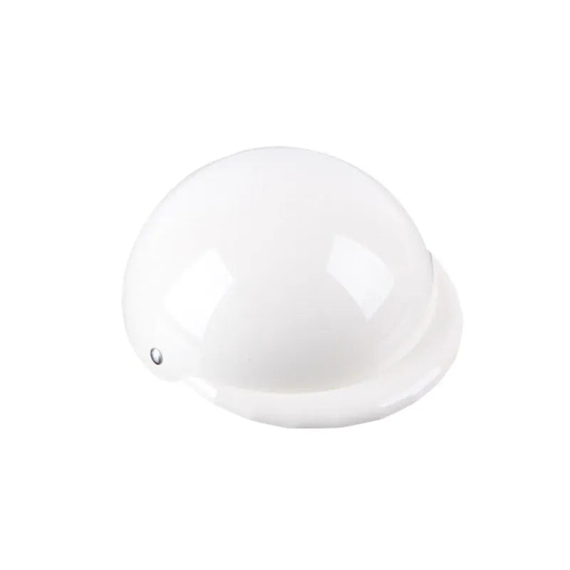 Plastic dog motorcycle cap helmet in Japanese style on a small dog