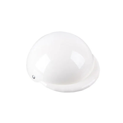 Plastic dog motorcycle cap helmet in Japanese style on a small dog