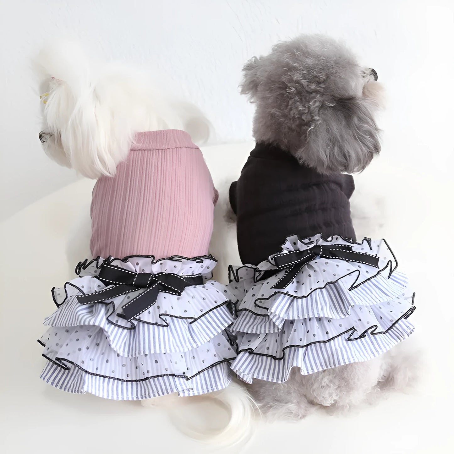 Polka dot lace cake princess dress for pets in taro purple, charcoal black, or iced coffee colours