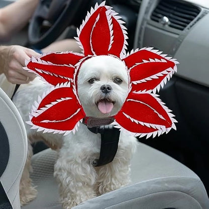 Medium-sized dog wearing a black demon hat and a colourful flower headband Halloween costume.