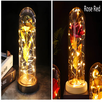 Little Prince Rose Glass Cover with 20cm diameter dome protecting plastic flower arrangement