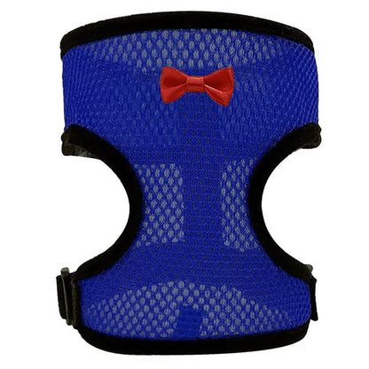 Poultry vest harness with matching collar and bow decoration for chickens and ducks