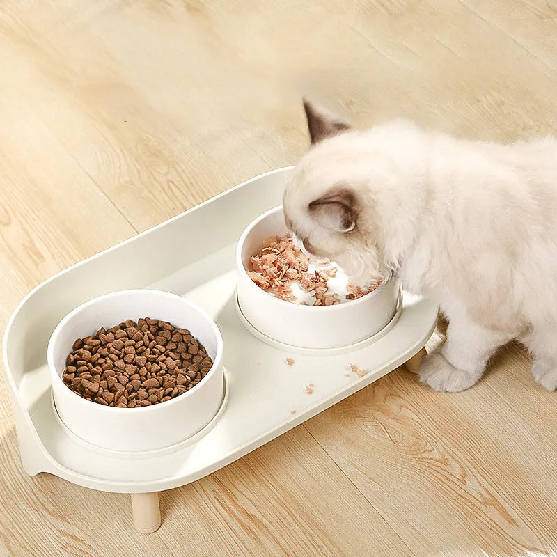 Green tilted pet feeder with adjustable stainless steel frame and two food bowls for cats and dogs