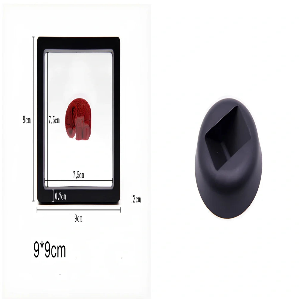 Black 11x11cm suspended 3D floating display frame holding a coin, with square base for stable collectible showcase