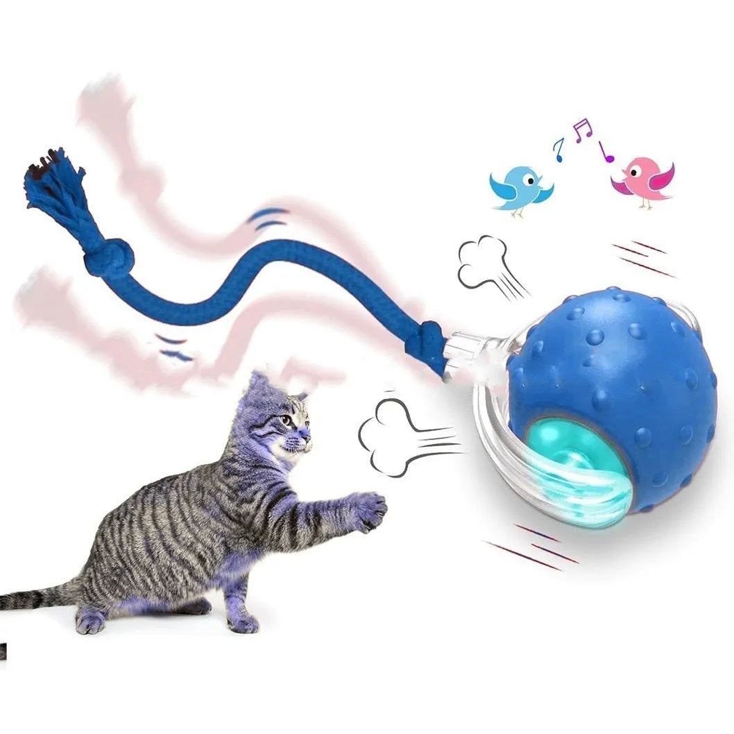 Interactive electronic cat toy ball with automatic rolling features on hardwood floor