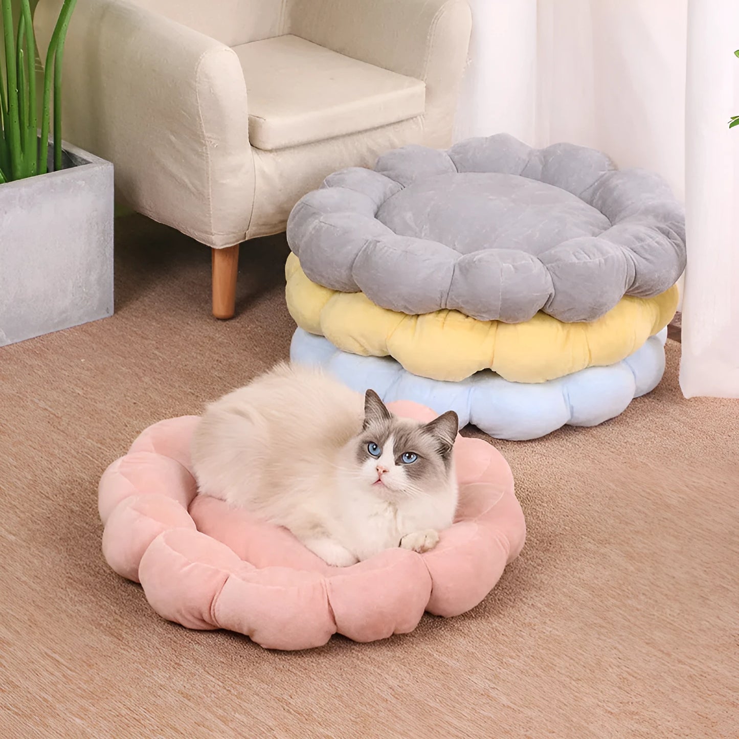 Blue, grey, pink, and yellow 50cm square plush pet bed with half-surrounded petal design.