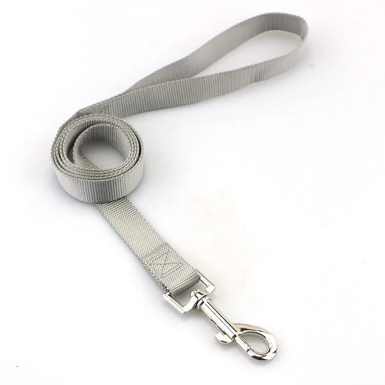 Solid colour polyester dog leash rope in hand, showing various width and colour options.