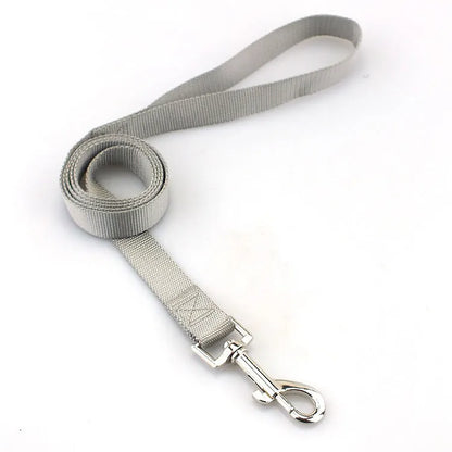 Solid colour polyester dog leash rope in hand, showing various width and colour options.