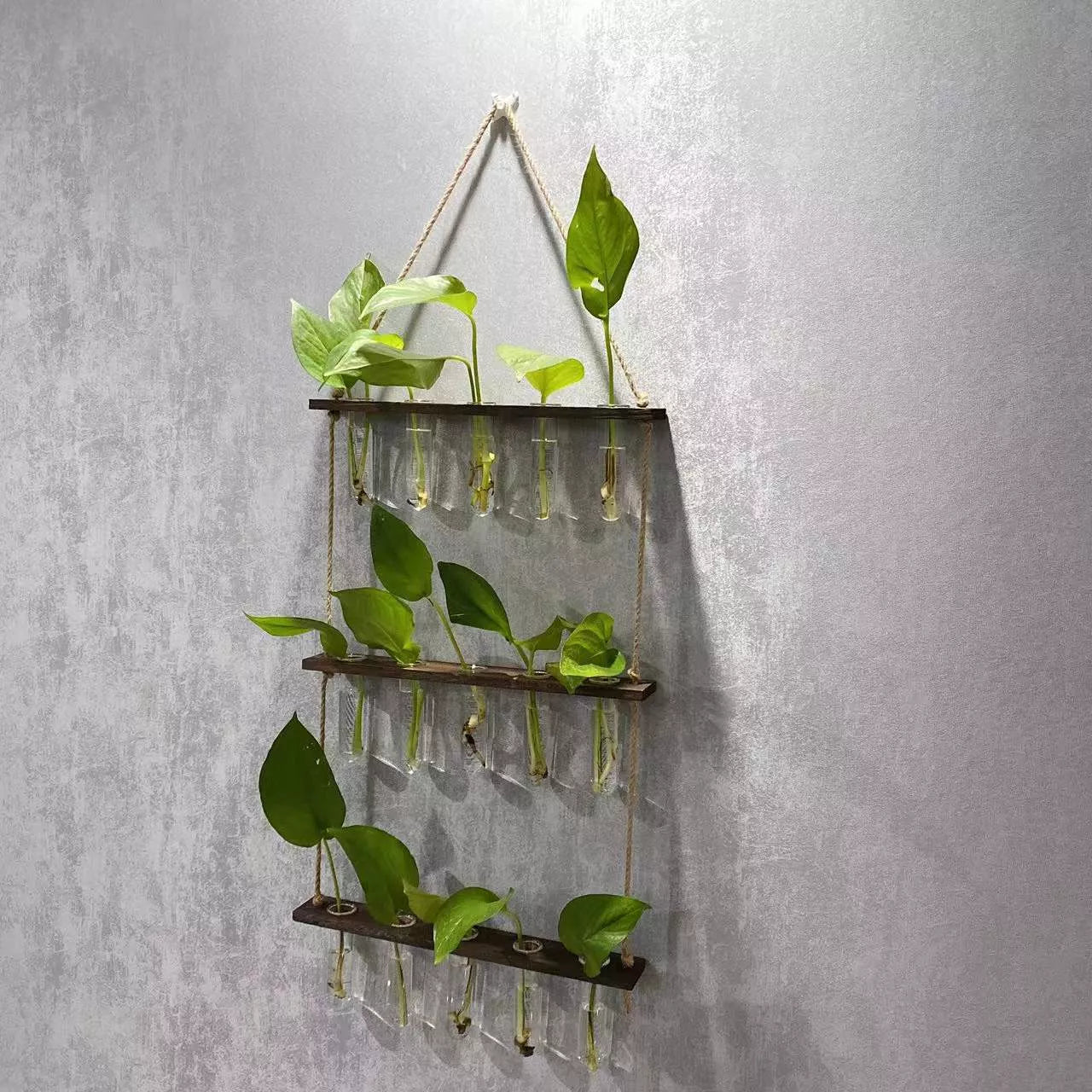 Creative Hydroponics Wall Hanging Vase with 15 test tubes in a wooden frame