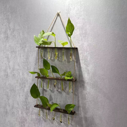 Creative Hydroponics Wall Hanging Vase with 15 test tubes in a wooden frame