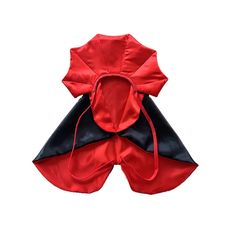 Red Halloween bat costume cloak and pointed hat on a small dog