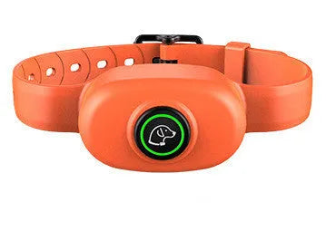 Black waterproof dog training collar with remote control showing LCD display and adjustable strap