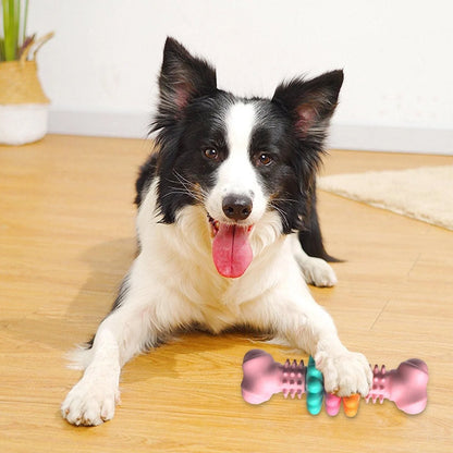 TPR Dog Chew Bone in blue, pink, and green for teeth cleaning and stress relief