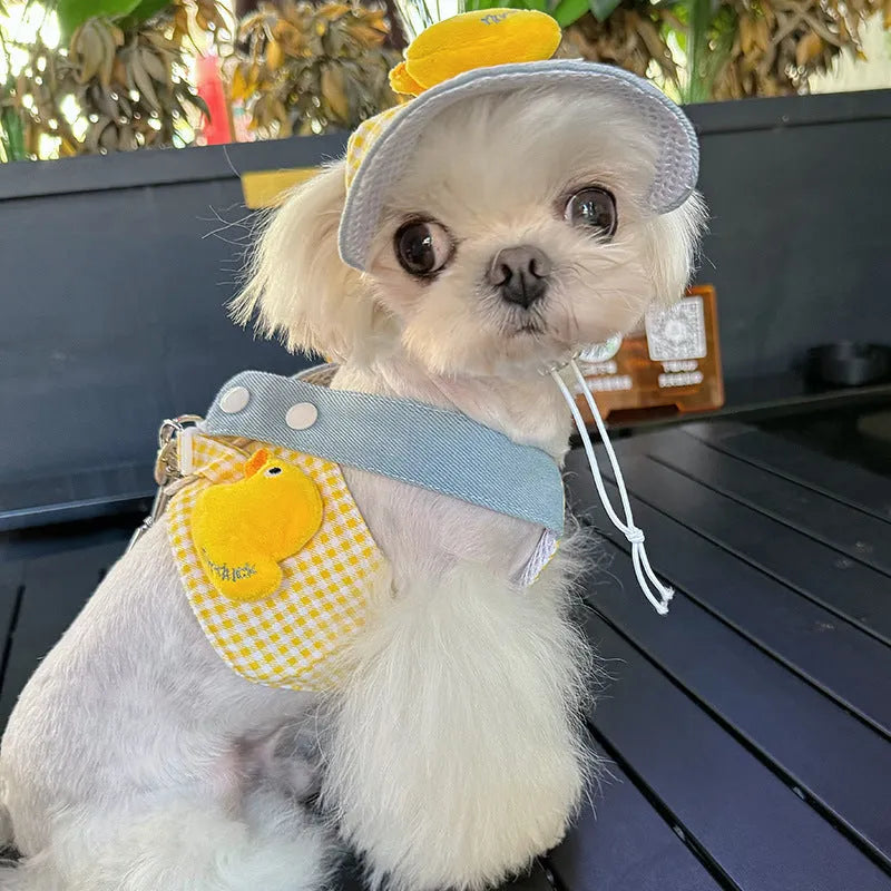 Pet wire rope pulling set showing harness, leash, and cute hat for a cat or dog.