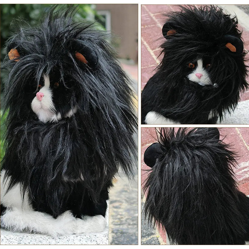 Black cat wearing lion headgear wig with adjustable elastic strap around head