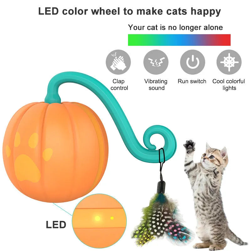 Electric cat teasing ball toy in watermelon or pumpkin colour design