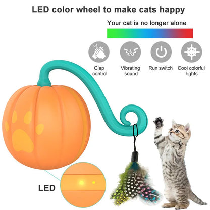 Electric cat teasing ball toy in watermelon or pumpkin colour design