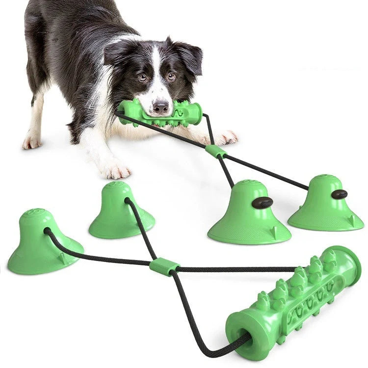 Durable suction cup molar toy for dogs, promoting dental health through chewing