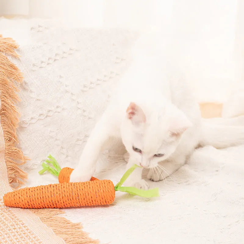 Set of four cat toys: ringing stones, paper carrots, batting sticks, and textured grinding sticks.