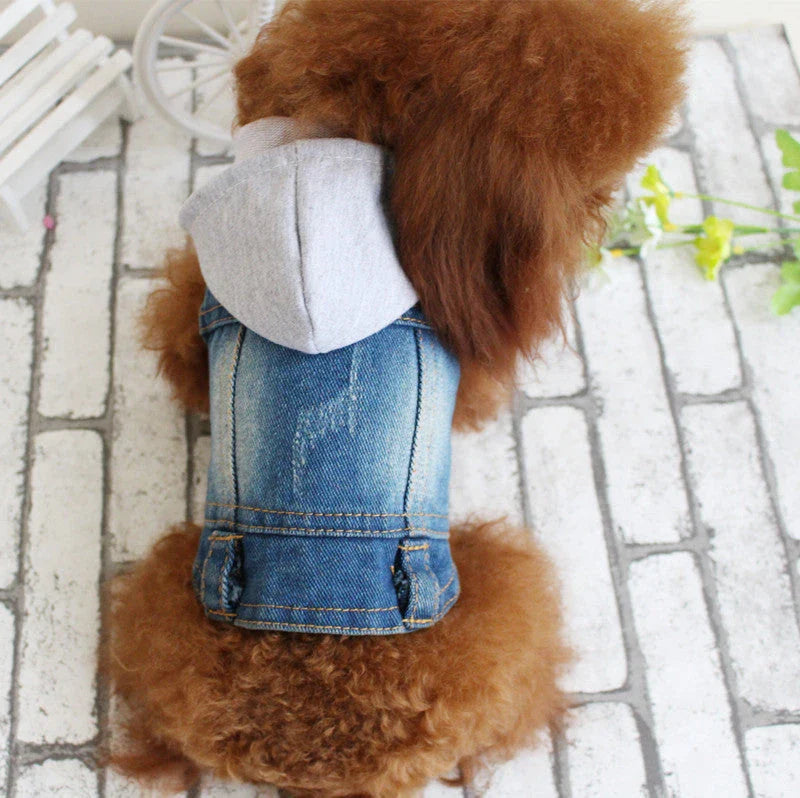 Stylish denim dog jacket with customizable color, pattern, and size options
