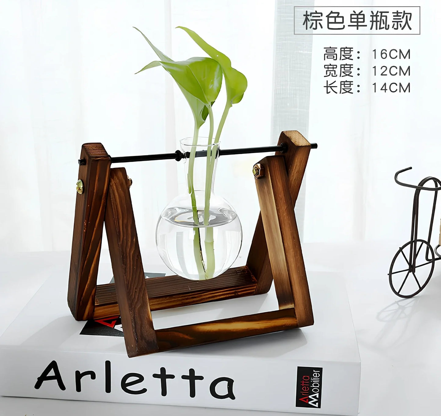Glass tabletop plant with LED lighting in tempered glass enclosure measuring 15cm diameter