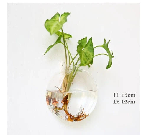 Wall-mounted glass flower vase and terrarium with various design options for customization and decoration