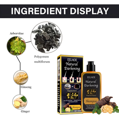 100ml boxed bottle of Polygonum Multiflorum shampoo for white to black hair colour restoration